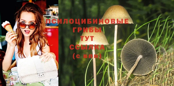 Альфа ПВП Наволоки