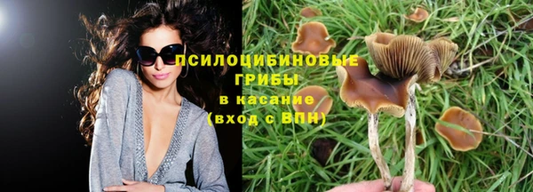 Альфа ПВП Наволоки
