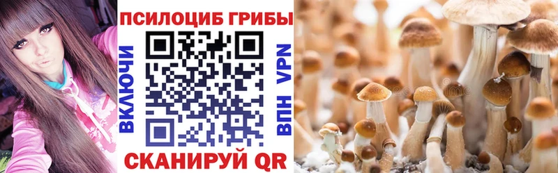 Псилоцибиновые грибы GOLDEN TEACHER  Купить закладки  Фролово 