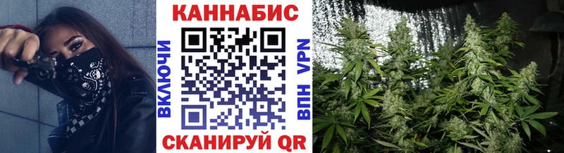 Канабис OG Kush Фролово